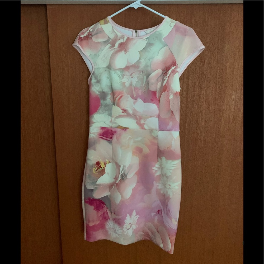 Ted Baker Floral Mini Dress (Small, fits like 4, Ted 2)